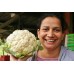 CAULIFLOWER LARGE Size Each LEVIN Grown